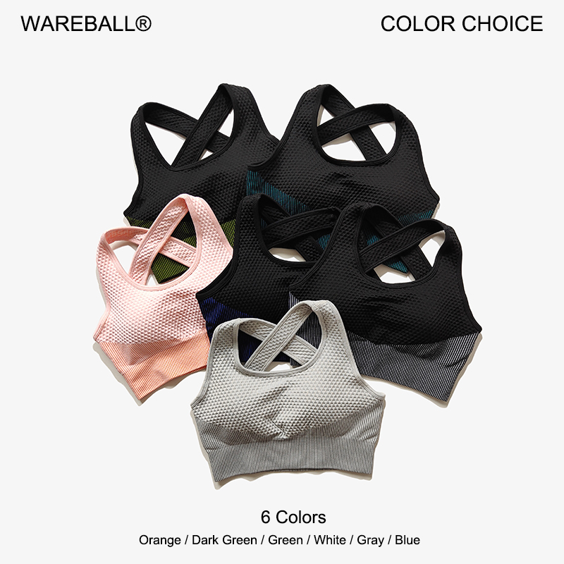 WAREBALL, 6 colores, Sujetador - Running Belt reseña y precio