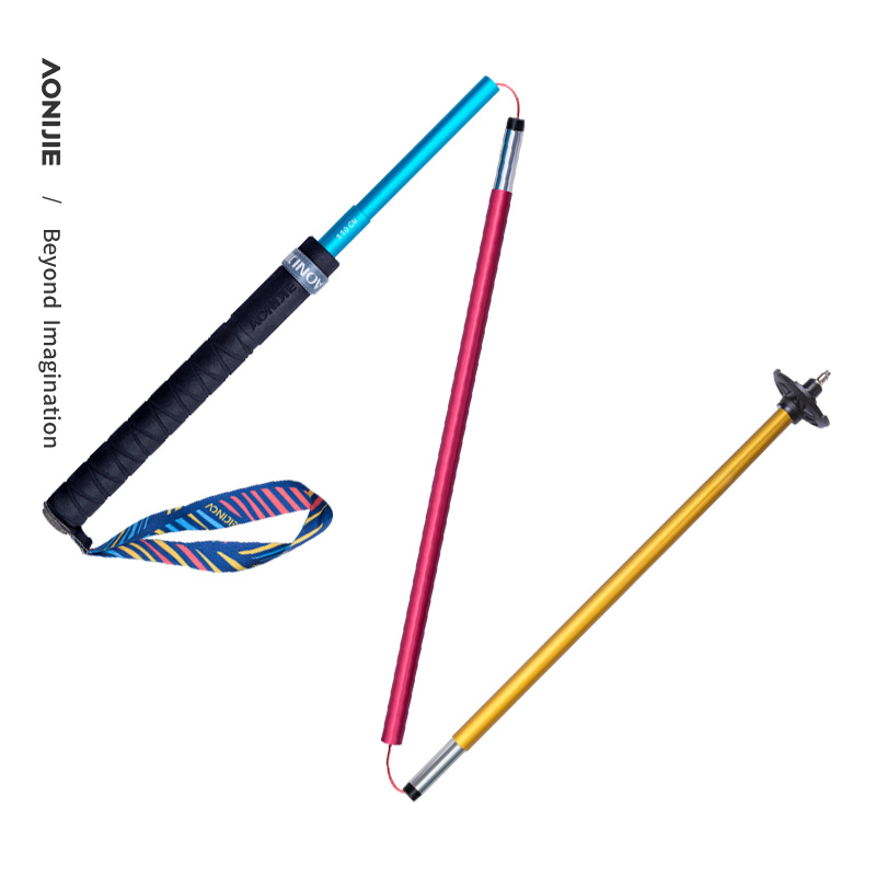 2 palos de senderismo plegable - Trekking Pole Carbon reseña y precio