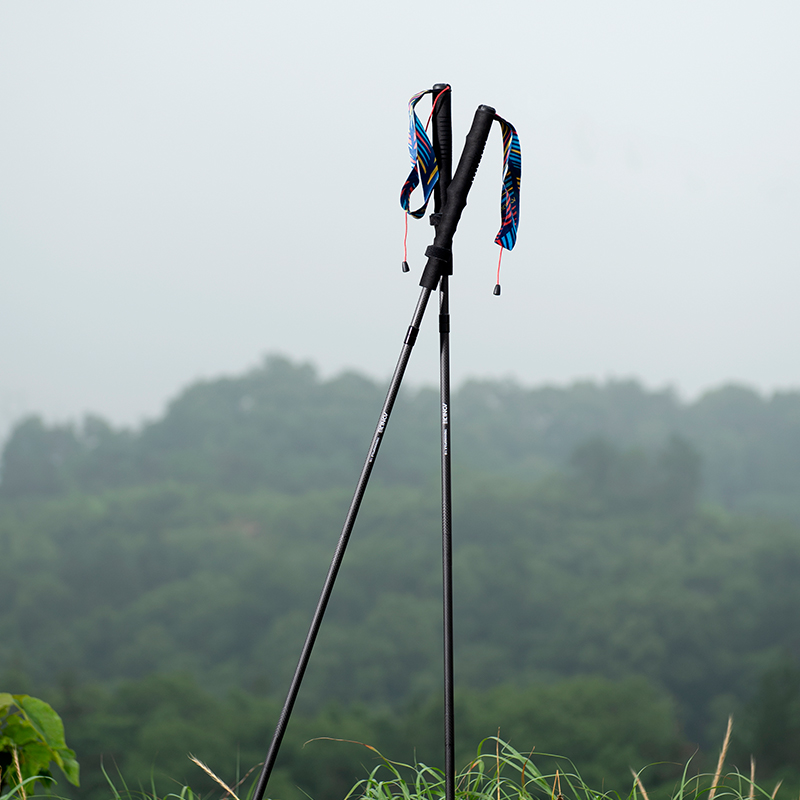 2 palos de senderismo plegable - Trekking Pole Carbon reseña y precio